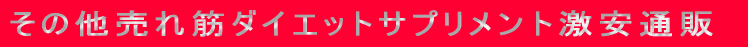 ���̑��ɔ���؃_�C�G�b�g�T�v�������g 
